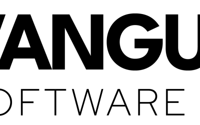 Vanguard Software Group (VSG)